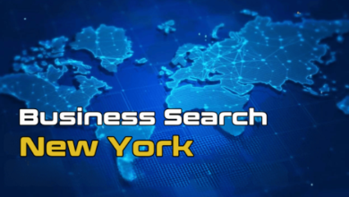 New York Secretary of State Business Search