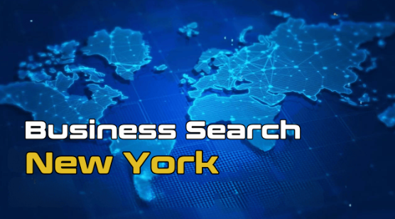 New York Secretary of State Business Search